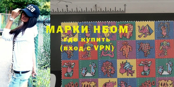 индика Абинск
