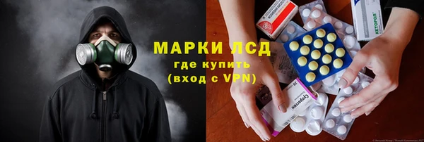 индика Абинск
