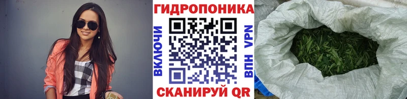 Марихуана ГИДРОПОН мега как зайти Балашиха